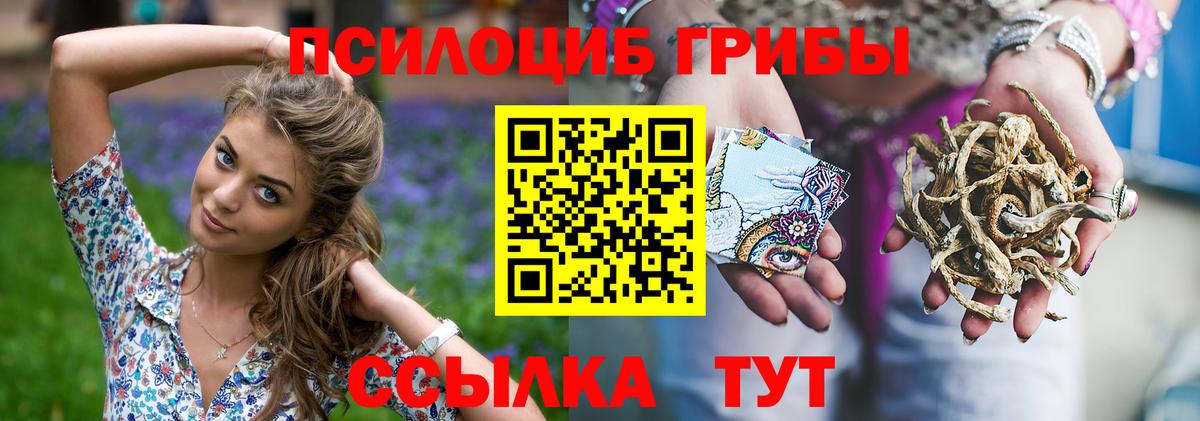 Псилоцибиновые грибы Psilocybine cubensis Россошь
