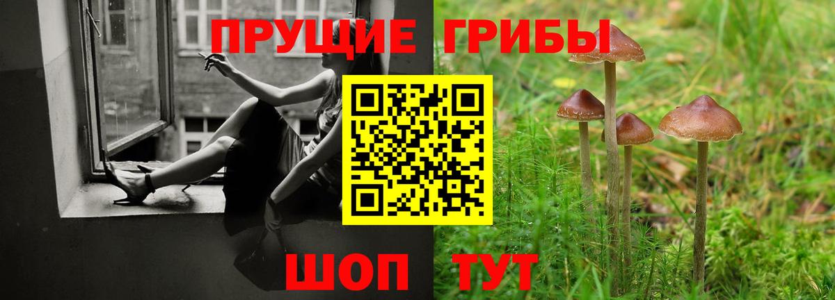 Россошь  Галлюциногенные грибы мухоморы  Вход с VPN 